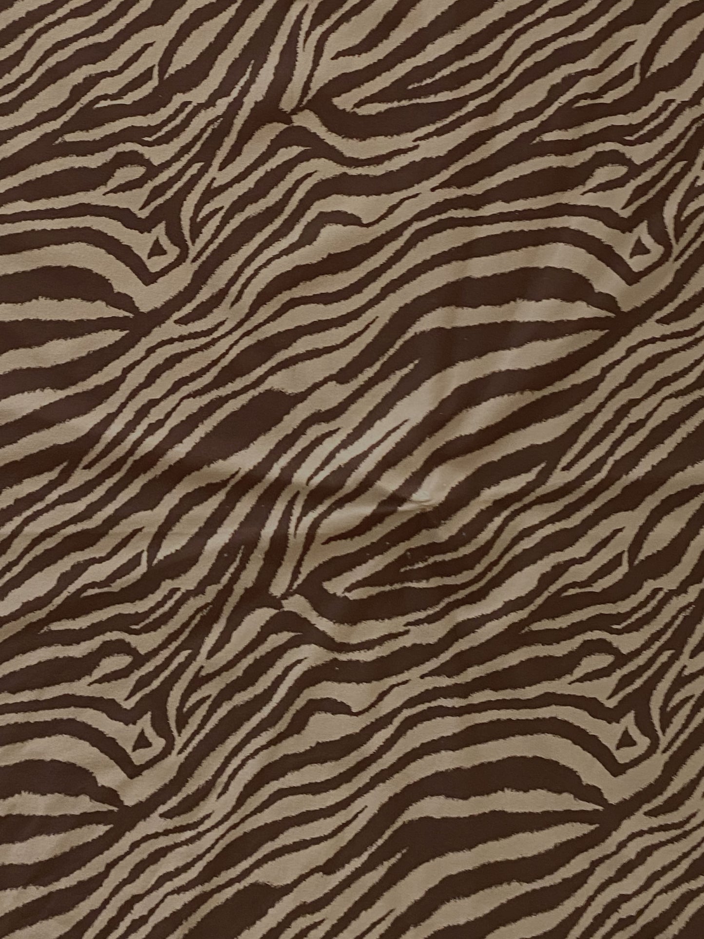 Bikini DAMISELA cafe zebra