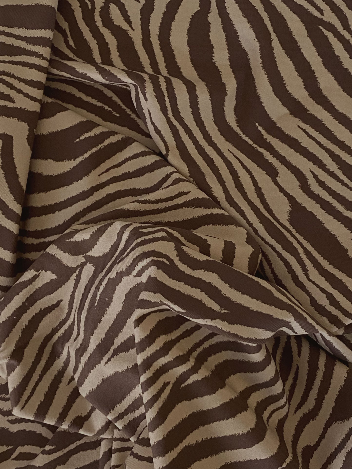 Bikini DAMISELA cafe zebra